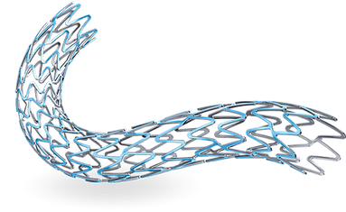 Resorbable Coronary Stent.